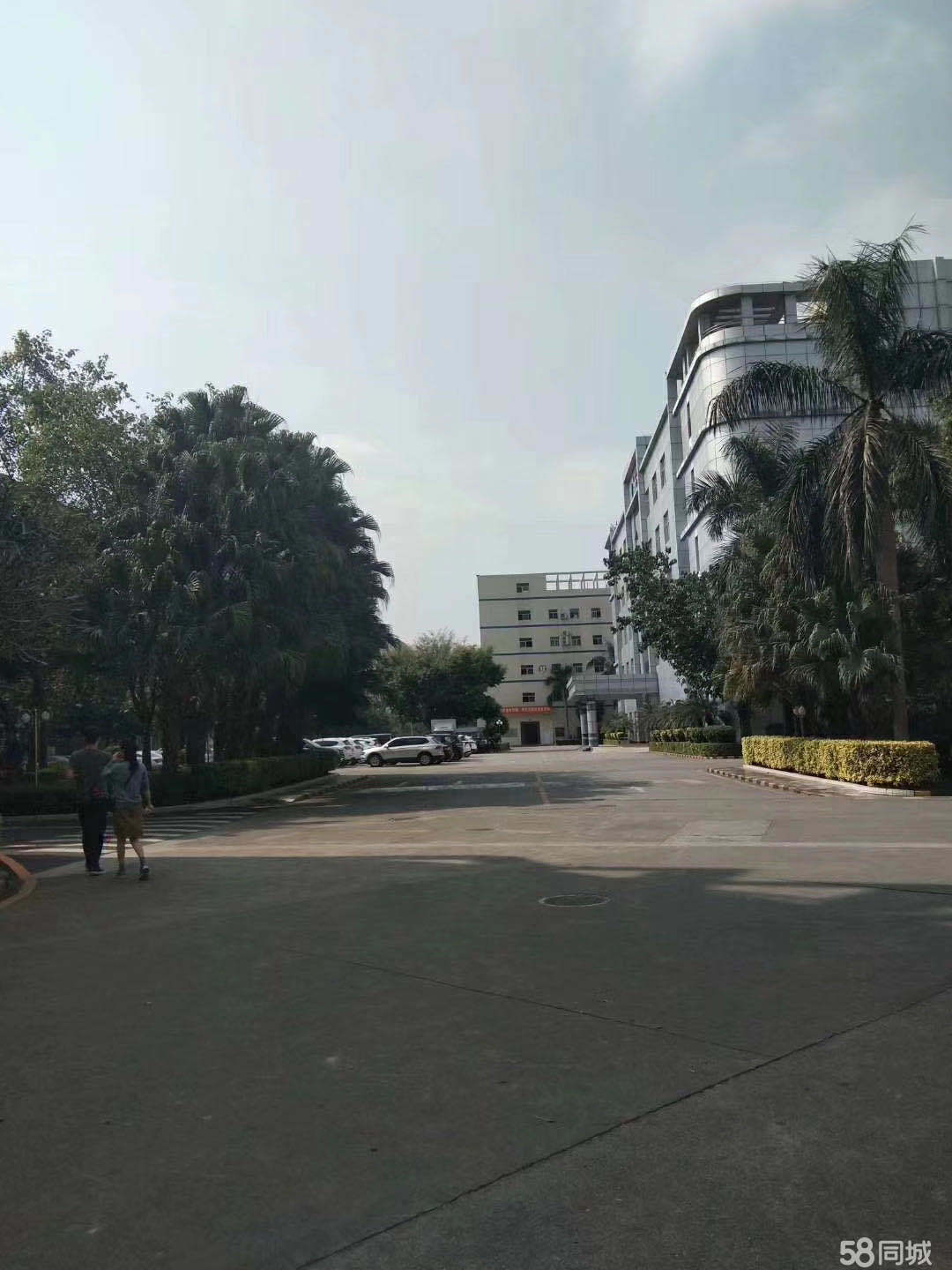 普工、生產工、操作工、裝配工、維修員、包裝工、插件、組長、拉長